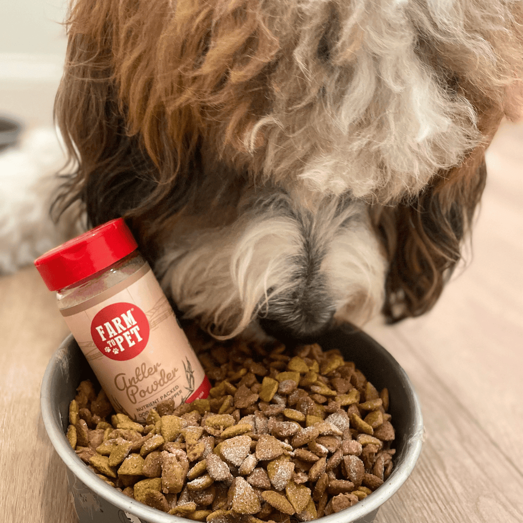 Treat Topper Antler Powder Dog Food Topper | Nutritional Supplement for Dogs and Cats