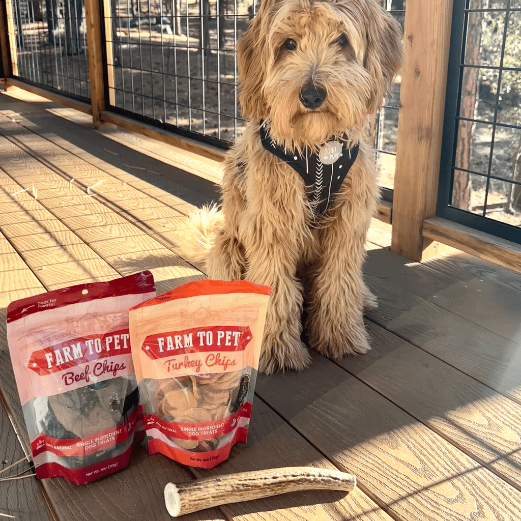 Reindeer Antler Dog Chews | Organic Chews for Dogs