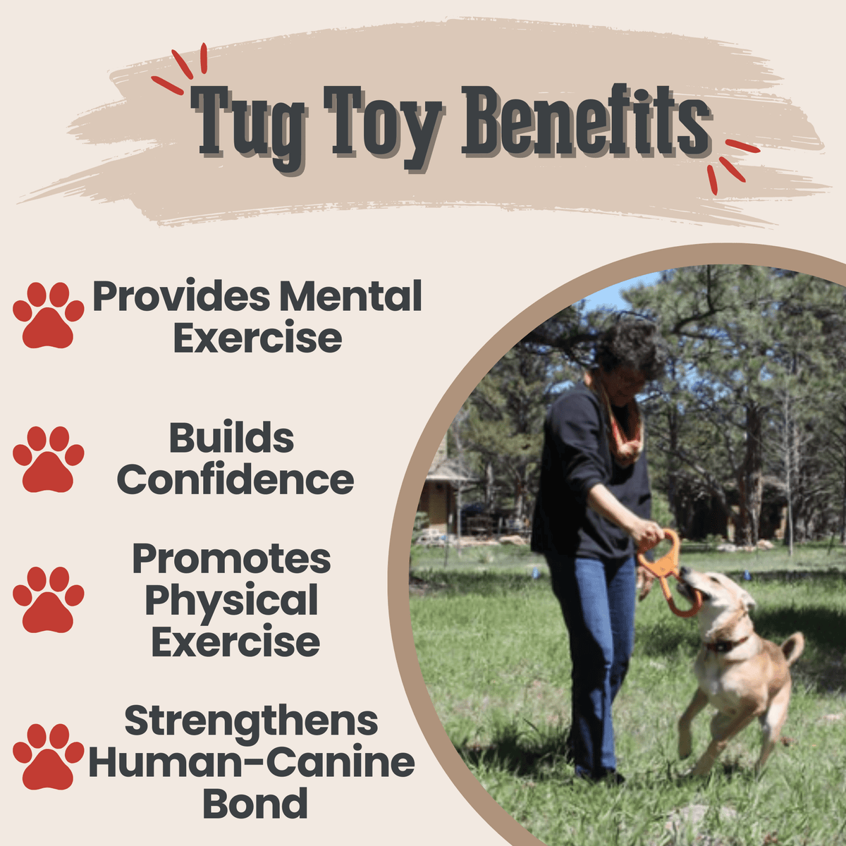 Chew Toys