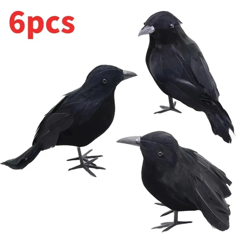S5e5c3fbde1a34fa088bd12a405db33c79